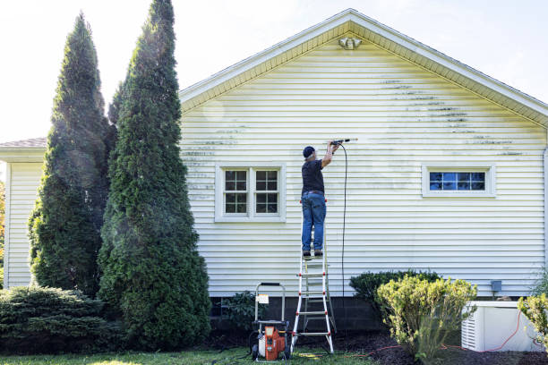 Best Driveway Pressure Washing  in Hettinger, ND